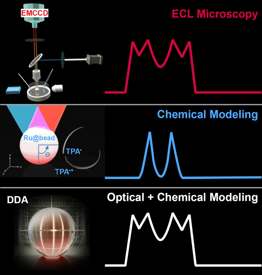 TOC ACS SEnsors 2.tif