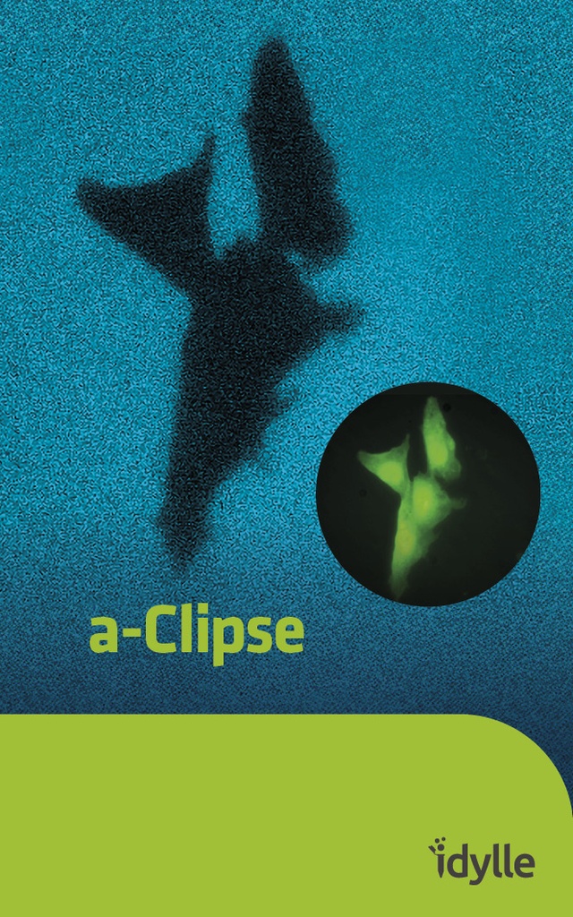 a Clipse a CLIPSE C